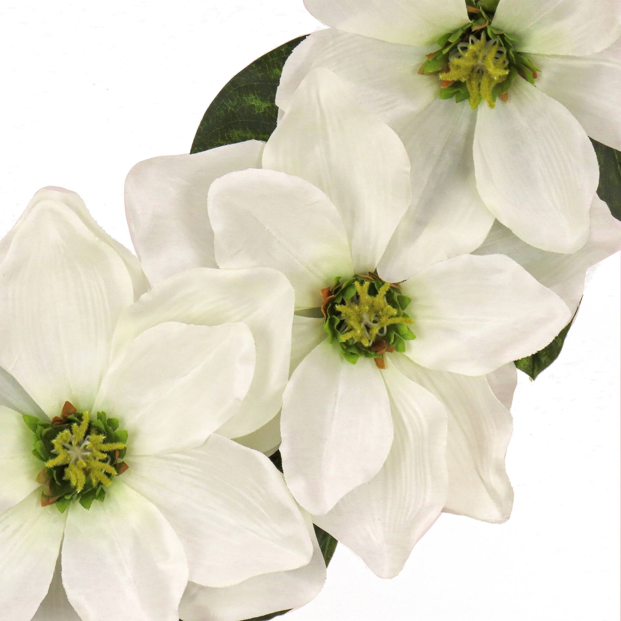 24" Cream Magnolia Flowers Wreath